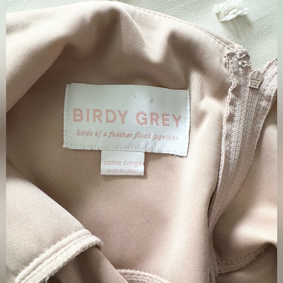 Birdy Grey Taupe Chiffon Dress - Picture 5 of 6